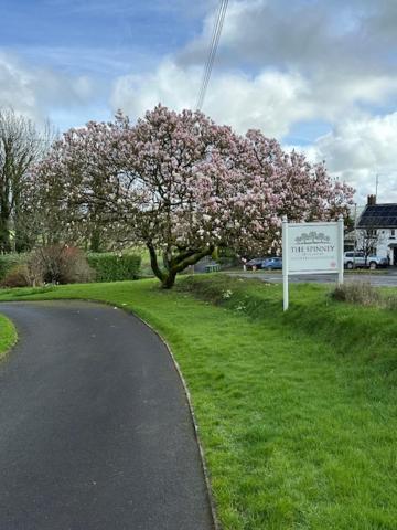 The Spinney Barnstaple Exterior foto
